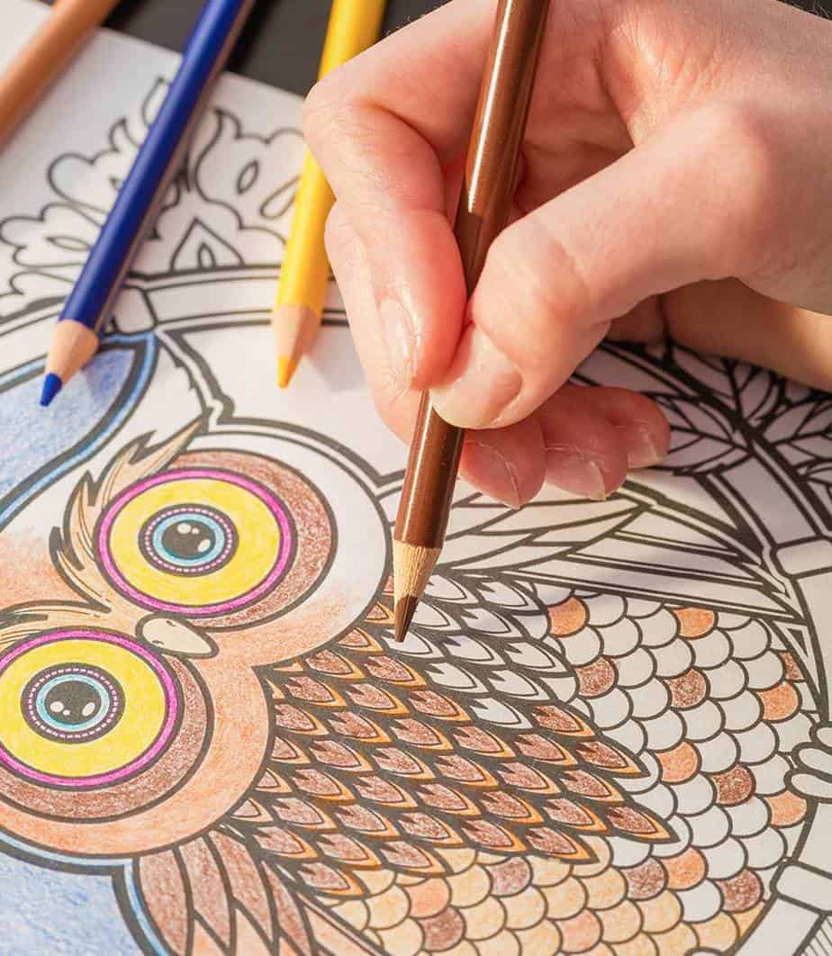 Featured image for “Coloring, Craft-​Related Products Experience Double-​Digit Sales Growth”