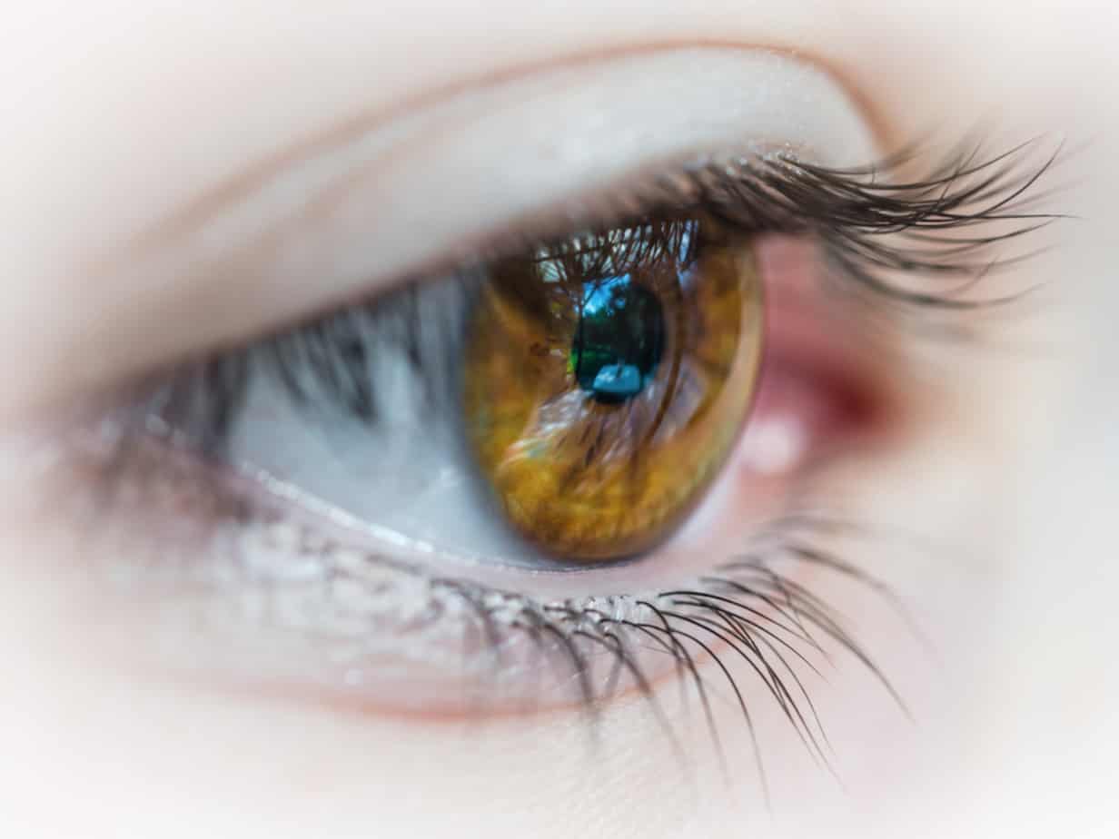 Featured image for “Eye Doctors to Promote Detection and Treatment of Age-​Related Ocular Disease”