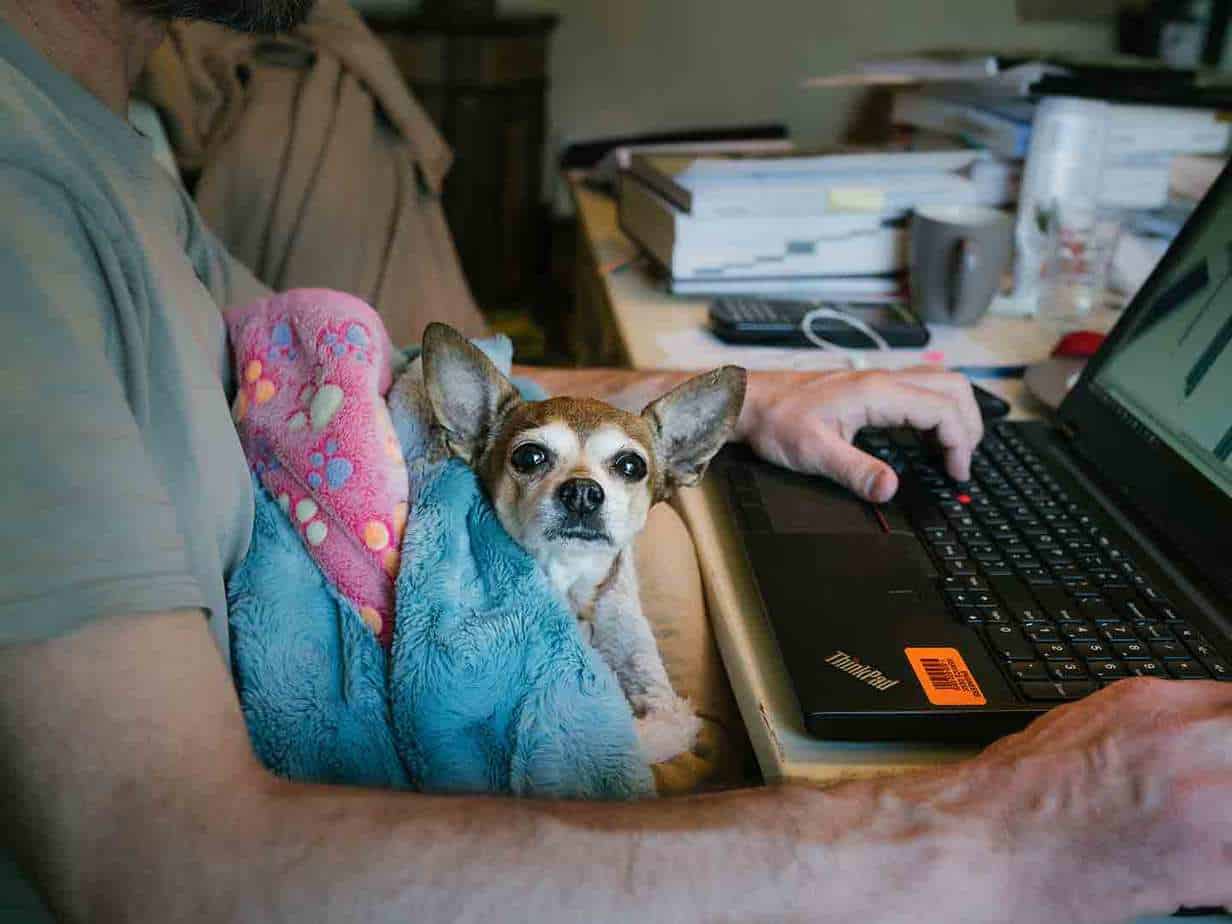 Featured image for “How to Ensure that Remote Employees Stay Productive”