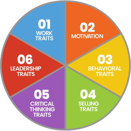 TeamTrait profiles 6 Elements of Professional Mindset